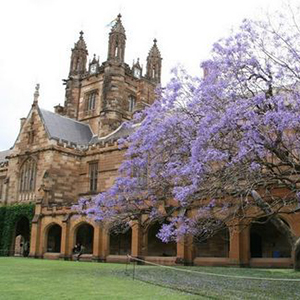 悉尼大学